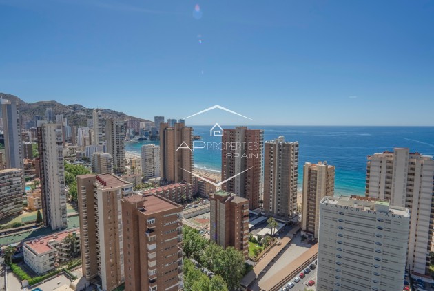 Apartamento - piso - Reventa - Benidorm - Benidorm
