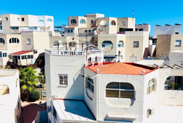 Appartement- flat - Herverkoop - San Miguel de Salinas -
                San Miguel de Salinas