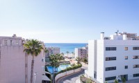 Appartement - Penthouse - Nouvelle construction - El Campello - APP-R-76247
