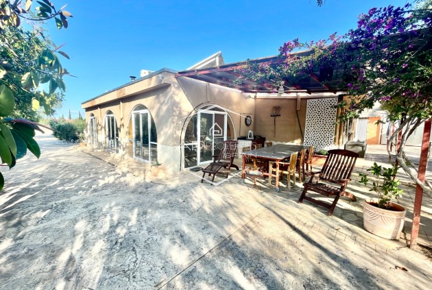 Finca / Propiedad rural - Reventa - Crevillente - Crevillente