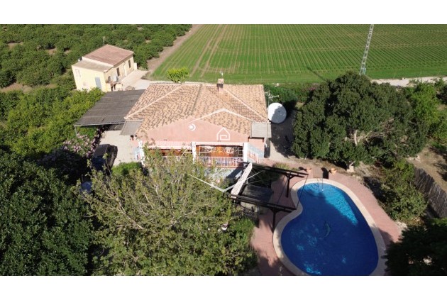 Finca - Revente - Orihuela - San Bartolome