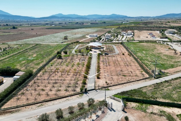 Finca - Revente - Pinoso - Pinoso