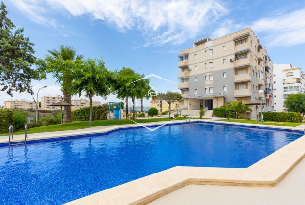 Mieszkanie - Apartament - Odsprzedaż - Torrevieja -
                Torreblanca