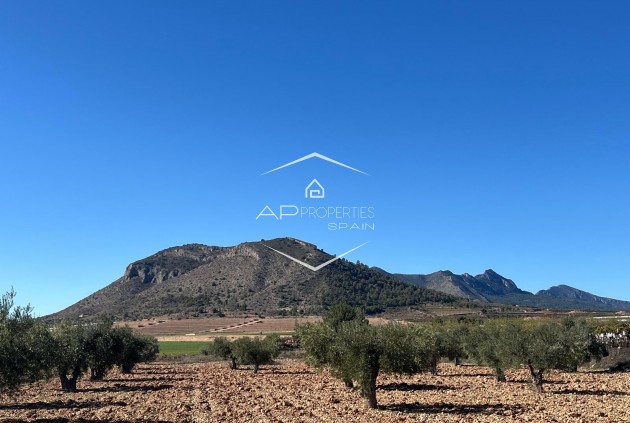 Parcelle - Terrain - Revente - La Romana -
                La Romana