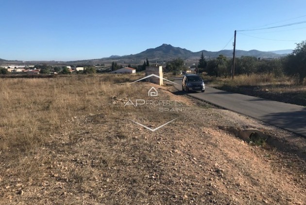 Plot / Land - Resale - Salinas - Salinas