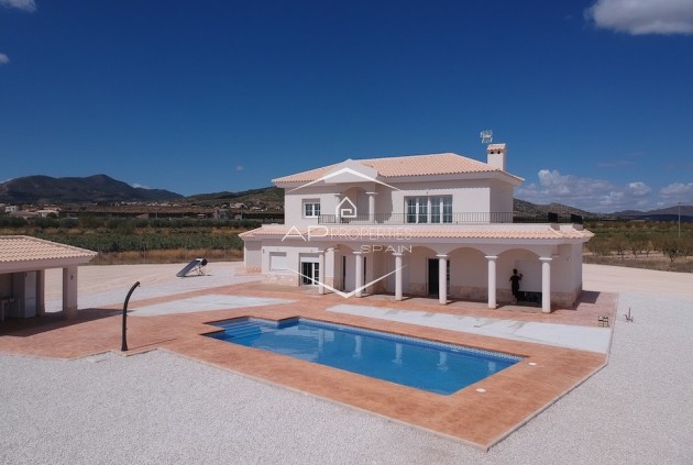 Villa / Detached - New Build - Pinoso - Pinoso