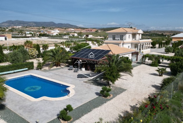 Villa - Indépendante - Revente - Pinoso - Pinoso