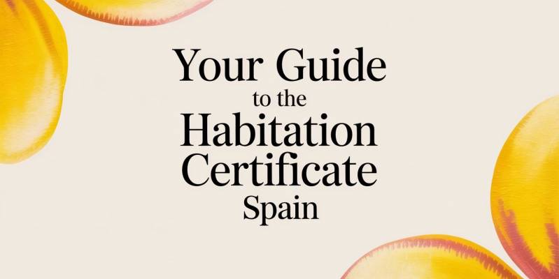 Your Guide to the Habitation Certificate Spain