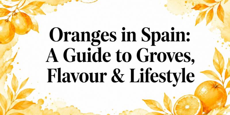 Oranges in Spain: A Guide to Groves, Flavour & Lifestyle