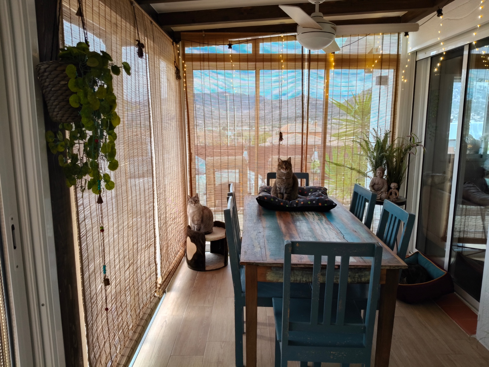 2 Sovrum Villa i Aspe