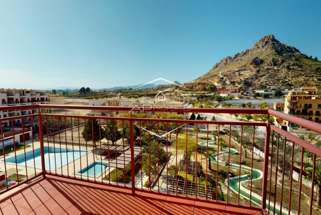 New Build - Apartment - Penthouse -
Archena - Villanueva del Rio Segura
