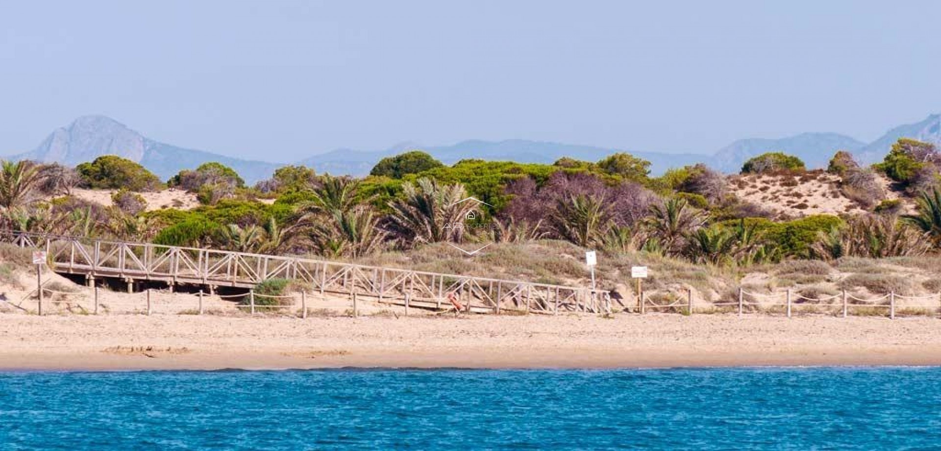 Nouvelle construction - Appartement -
Guardamar del Segura - Pueblo