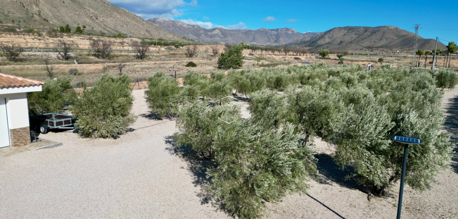 Odsprzedaż - Willa - Dom wolnostojący -
Macisvenda