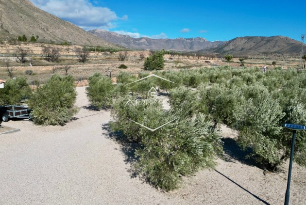 Odsprzedaż - Willa - Dom wolnostojący -
Macisvenda