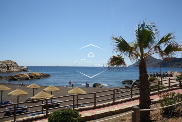 Nouvelle construction - Maison de ville -
La Union - centro