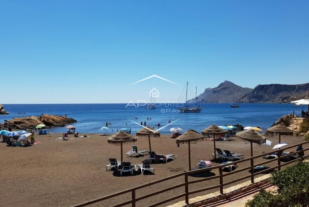 Nouvelle construction - Maison de ville -
La Union - centro