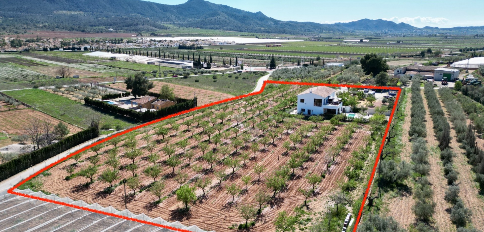 Revente - Villa - Indépendante -
Hondón de las Nieves