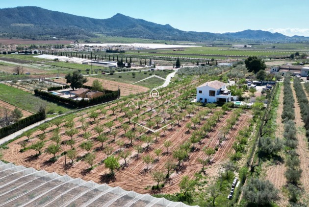 Revente - Villa - Indépendante -
Hondón de las Nieves