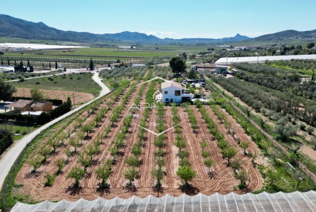 Revente - Villa - Indépendante -
Hondón de las Nieves
