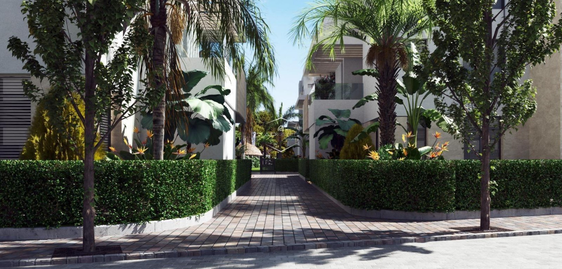 Nouvelle construction - Appartement - Penthouse -
Torre Pacheco - Santa Rosalia