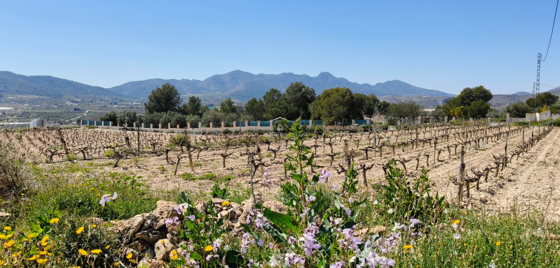 Odsprzedaż - Dom -
La Romana - Batistes