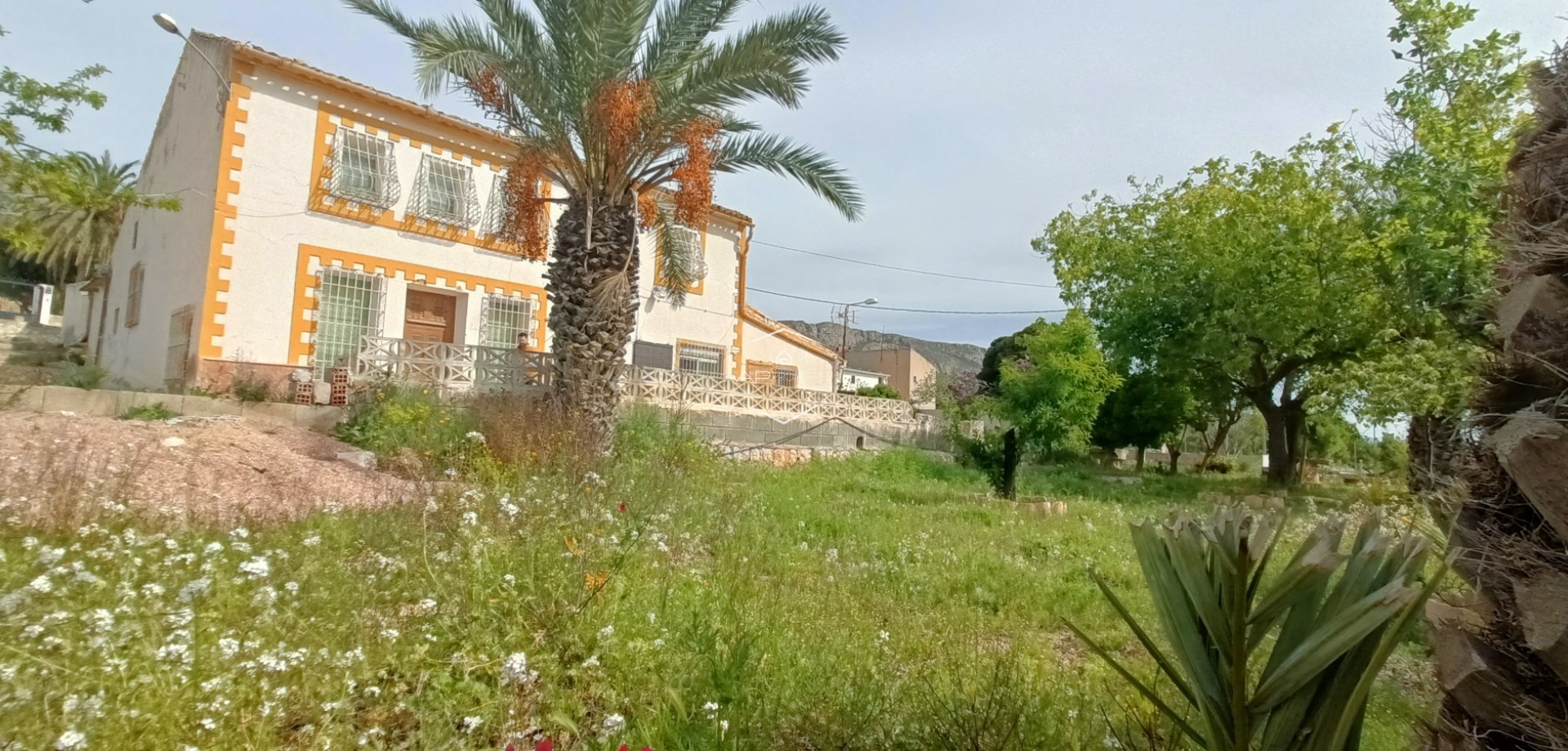 Resale - Villa - Detached -
La Romana