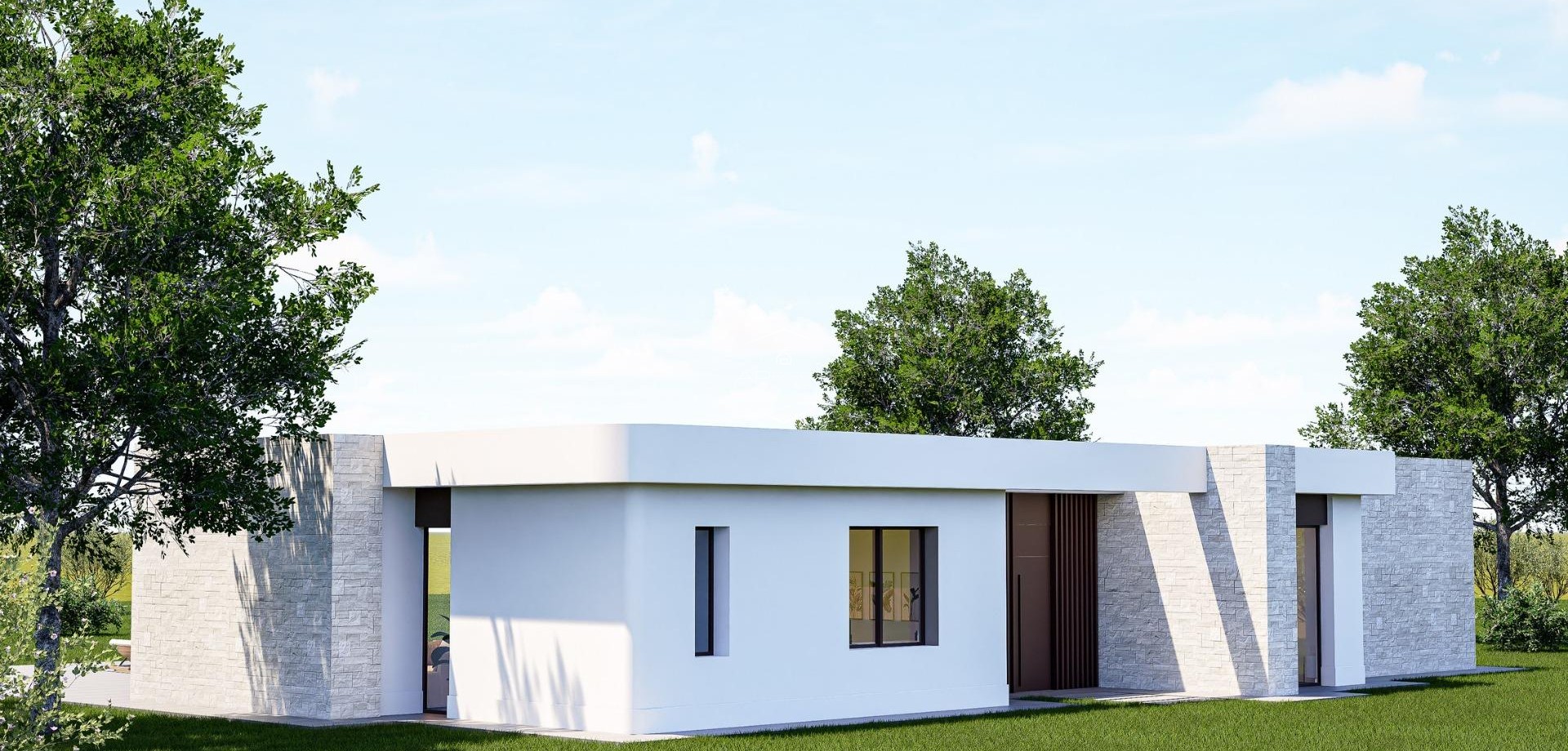 Nowy budynek - Willa - Dom wolnostojący -
Pinoso - Lel