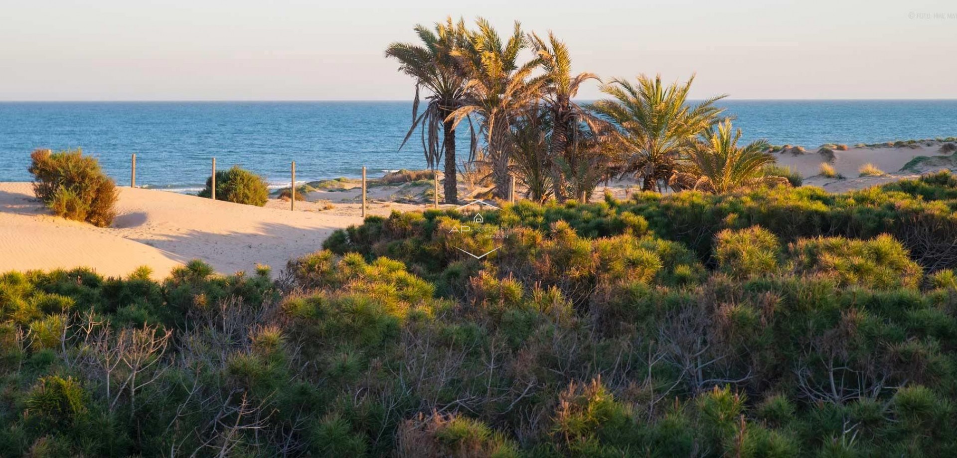 Nieuwbouw Woningen - Appartement- flat -
Guardamar del Segura - Avda del Puerto