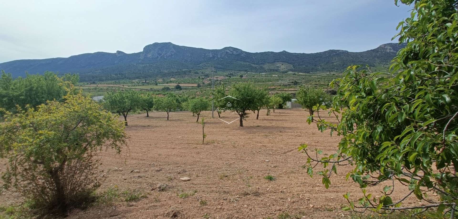 Resale - Villa - Detached -
La Romana