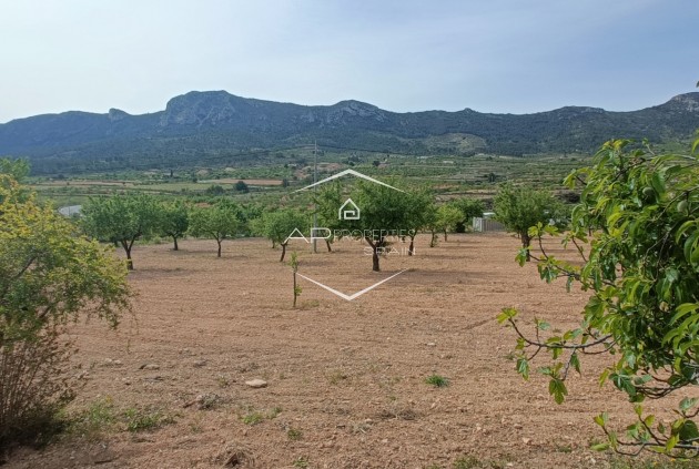 Resale - Villa - Detached -
La Romana