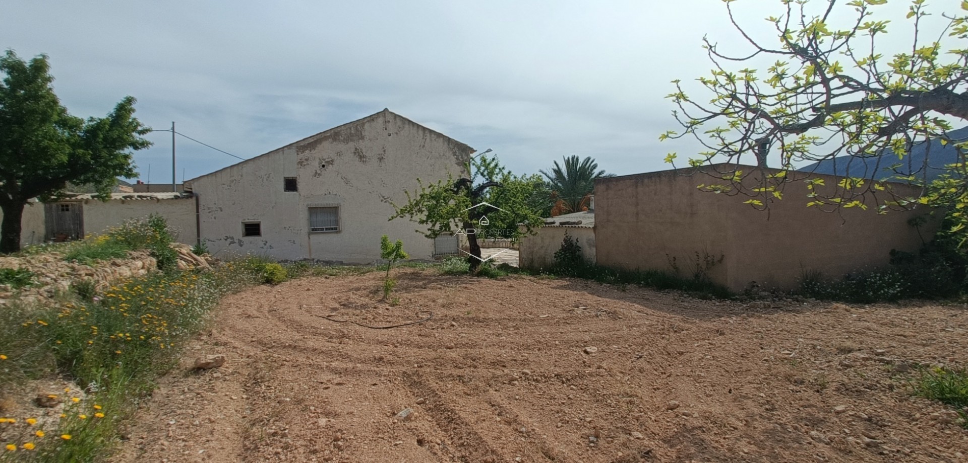 Resale - Villa - Detached -
La Romana