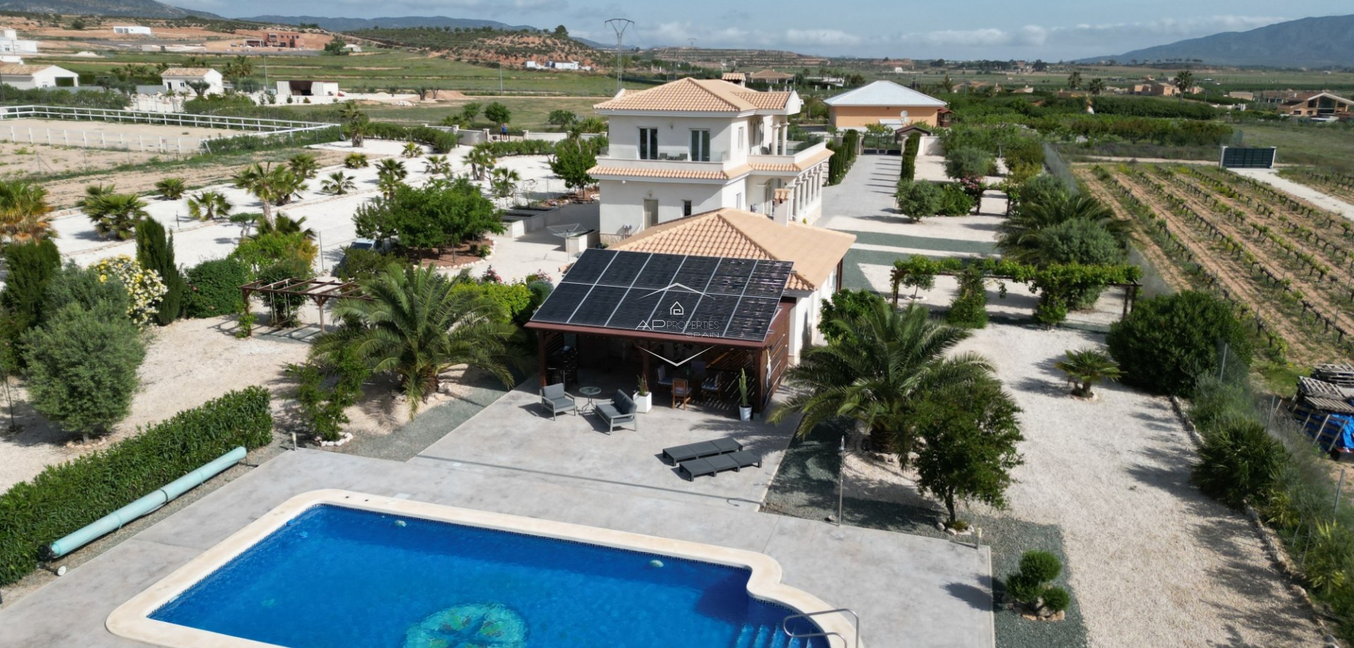 Revente - Villa - Indépendante -
Pinoso