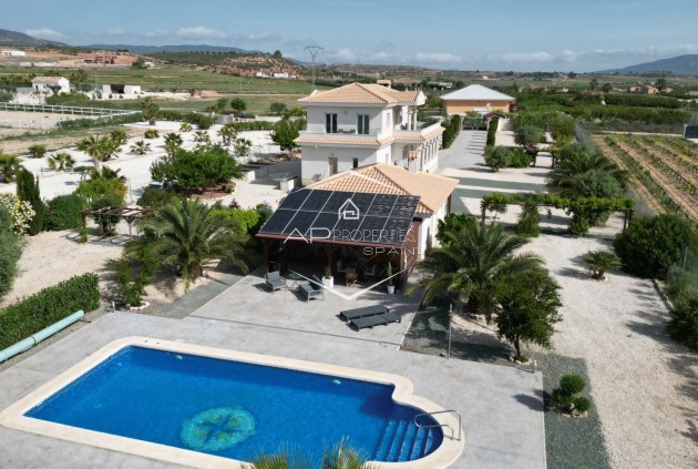 Revente - Villa - Indépendante -
Pinoso