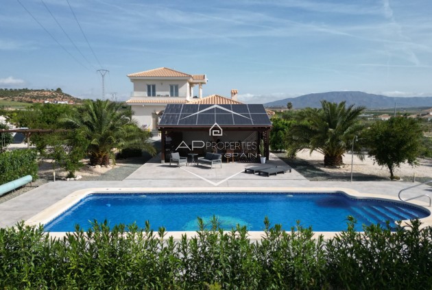 Revente - Villa - Indépendante -
Pinoso