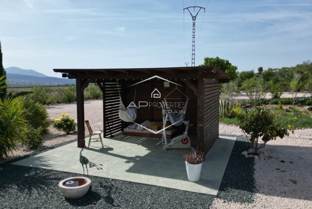 Revente - Villa - Indépendante -
Pinoso