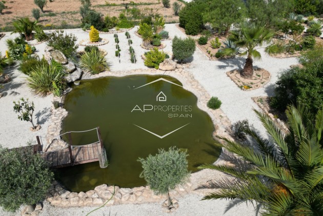 Revente - Villa - Indépendante -
Pinoso