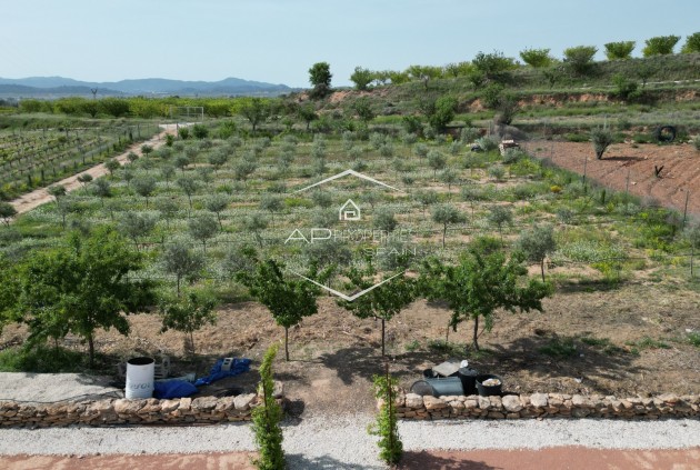 Revente - Villa - Indépendante -
Pinoso