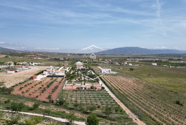 Revente - Villa - Indépendante -
Pinoso