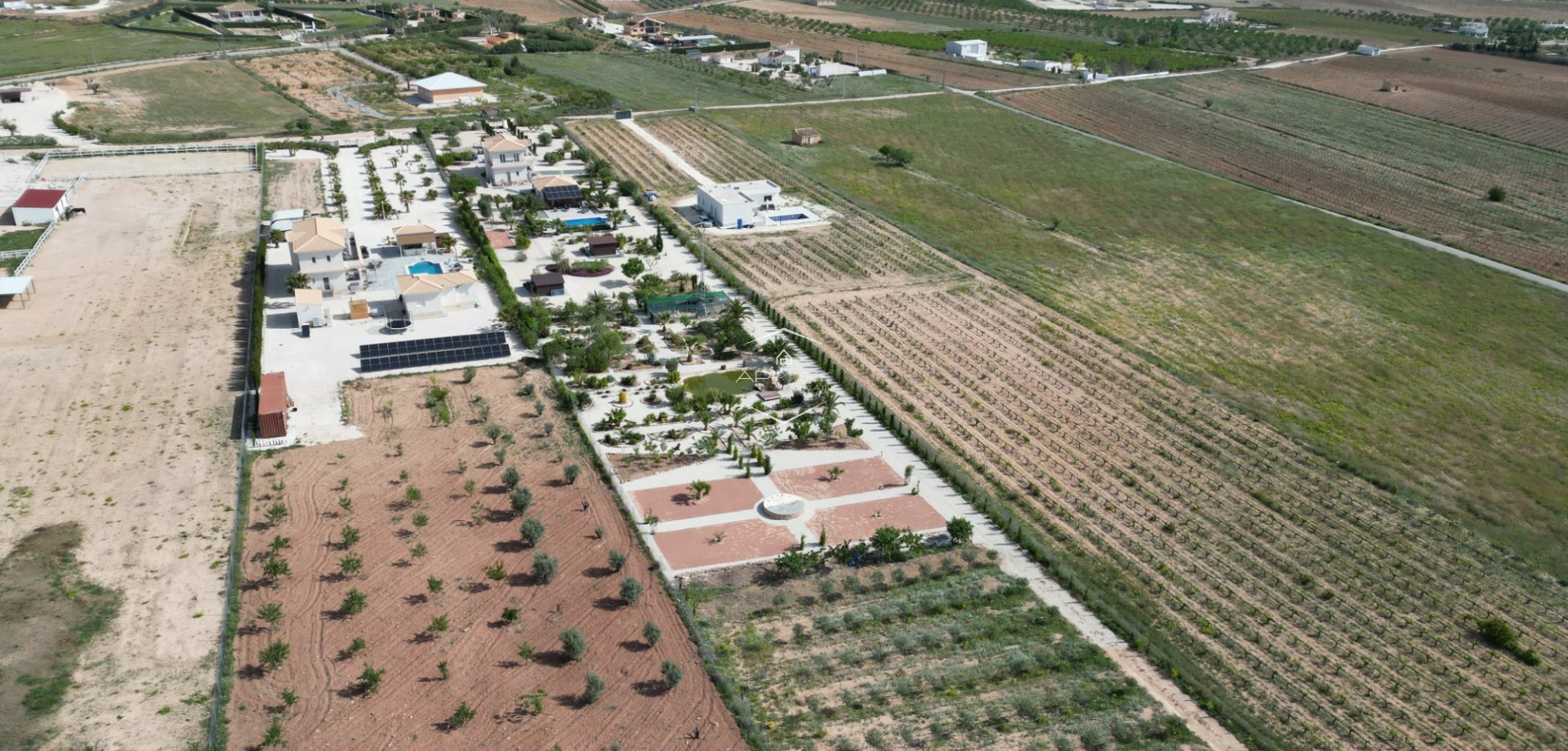 Revente - Villa - Indépendante -
Pinoso