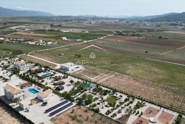 Revente - Villa - Indépendante -
Pinoso
