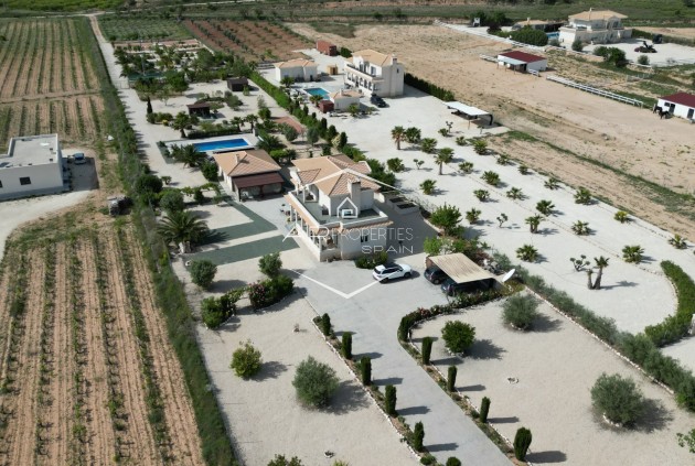 Revente - Villa - Indépendante -
Pinoso