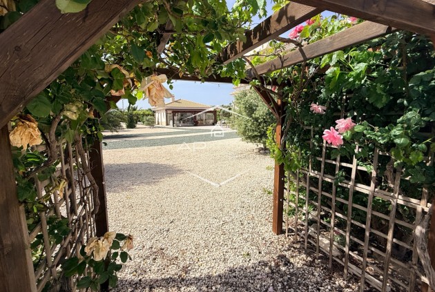 Revente - Villa - Indépendante -
Pinoso