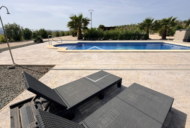 Revente - Villa - Indépendante -
Pinoso