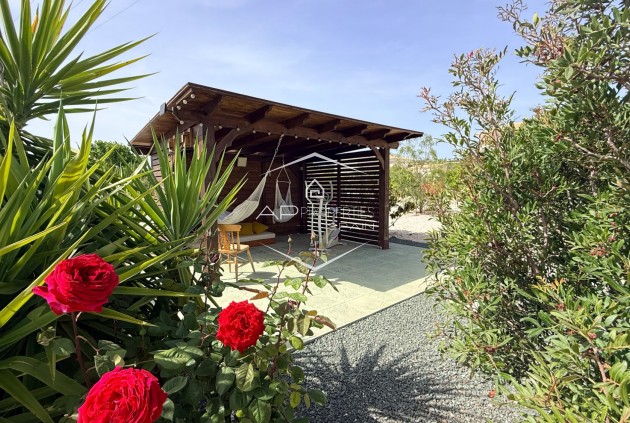 Revente - Villa - Indépendante -
Pinoso