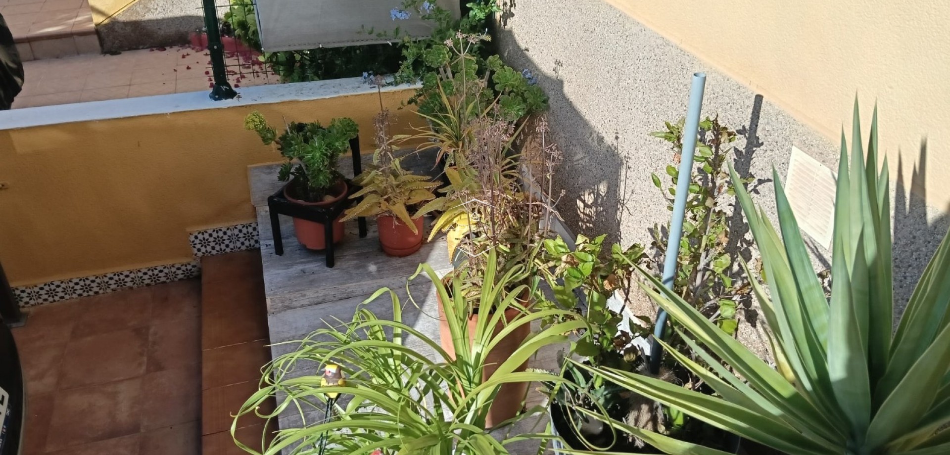 Herverkoop - Appartement- flat -
Los Montesinos - La Herrada