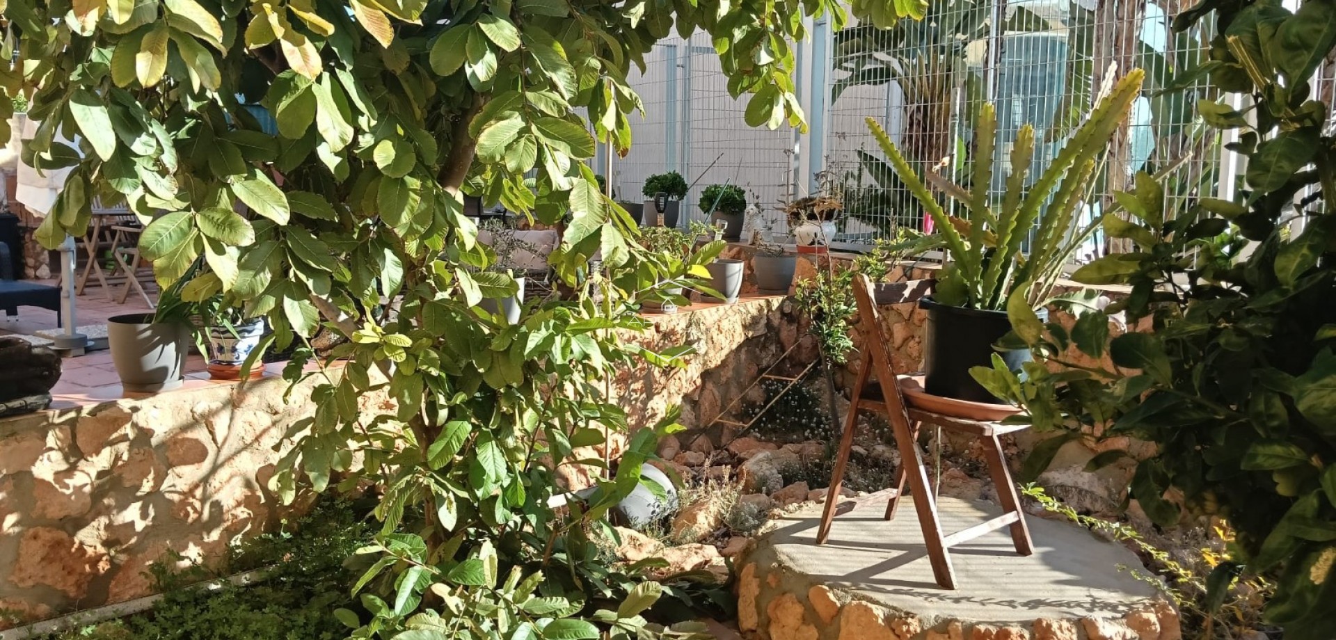 Herverkoop - Appartement- flat -
Los Montesinos - La Herrada