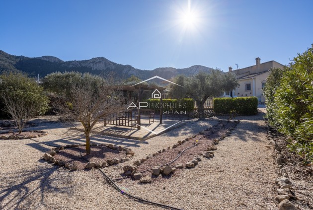 Herverkoop - Finca -
La Zarza
