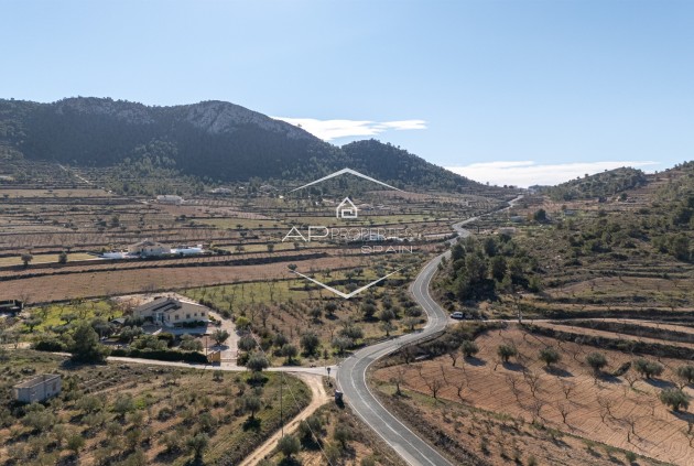 Herverkoop - Finca -
La Zarza