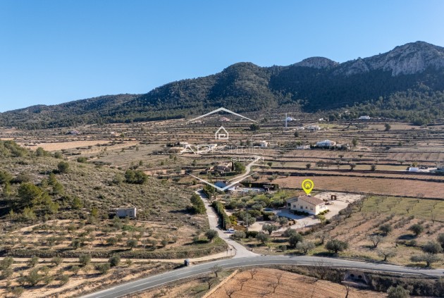 Herverkoop - Finca -
La Zarza