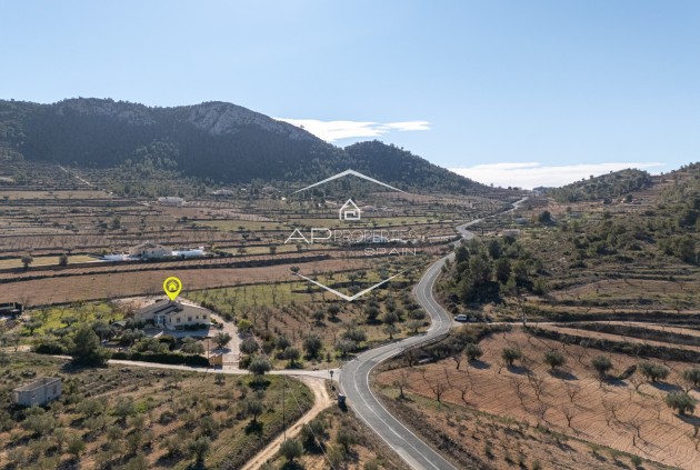 Herverkoop - Finca -
La Zarza